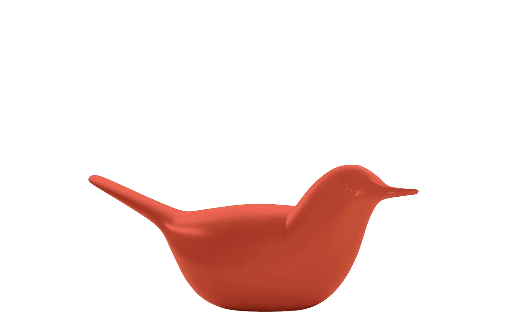 Paloma - Image 4